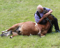 Freundschaft zwischen Mensch und Pferd: der einheimische Paul Schmidt bei einer Gehorsamkeitsübung, bei der er sein Pony hinlegte und sich ein Stück Brot aus dem Mund nehmen ließ. Freundschaft zwischen Mensch und Pferd: der einheimische Paul Schmidt bei einer Gehorsamkeitsübung, bei der er sein Pony hinlegte und sich ein Stück Brot aus dem Mund nehmen ließ.